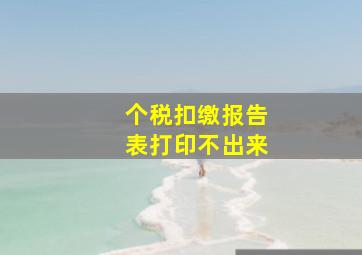 个税扣缴报告表打印不出来