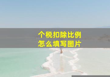 个税扣除比例怎么填写图片