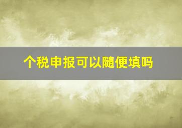 个税申报可以随便填吗