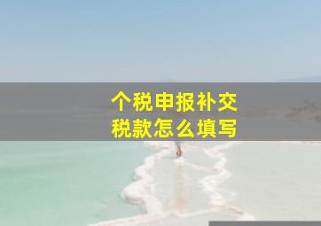 个税申报补交税款怎么填写