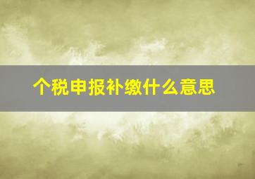 个税申报补缴什么意思