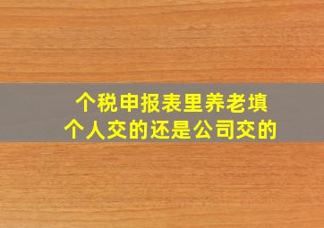 个税申报表里养老填个人交的还是公司交的