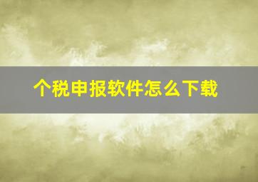 个税申报软件怎么下载