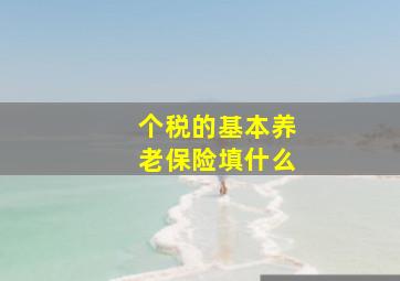 个税的基本养老保险填什么