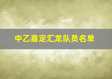 中乙嘉定汇龙队员名单