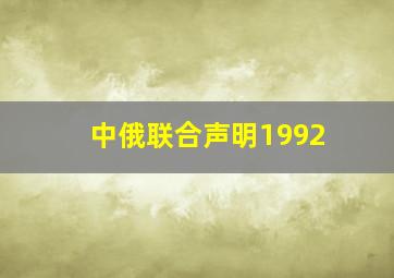 中俄联合声明1992