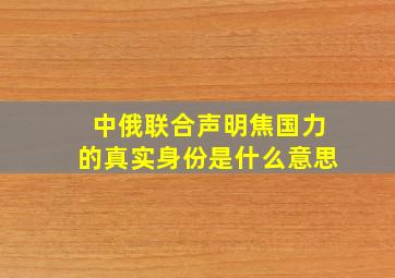 中俄联合声明焦国力的真实身份是什么意思