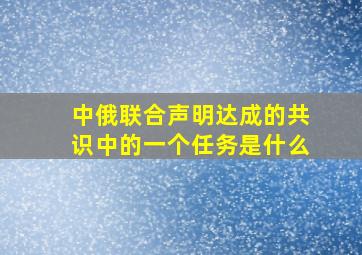 中俄联合声明达成的共识中的一个任务是什么