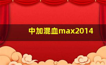 中加混血max2014