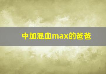 中加混血max的爸爸