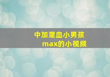 中加混血小男孩max的小视频