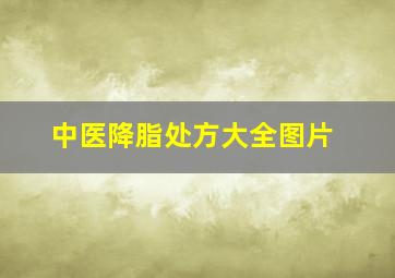 中医降脂处方大全图片