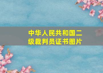 中华人民共和国二级裁判员证书图片