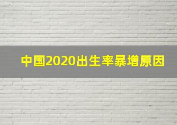 中国2020出生率暴增原因