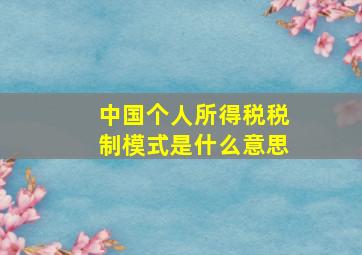 中国个人所得税税制模式是什么意思