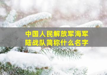 中国人民解放军海军陆战队简称什么名字