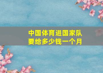 中国体育进国家队要给多少钱一个月