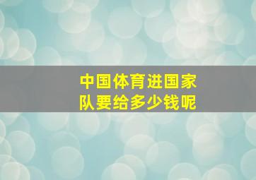 中国体育进国家队要给多少钱呢