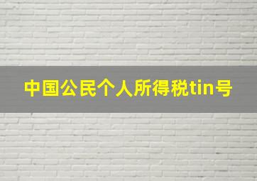 中国公民个人所得税tin号