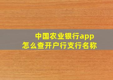 中国农业银行app怎么查开户行支行名称