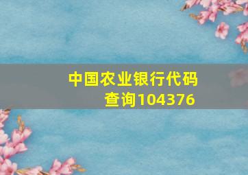 中国农业银行代码查询104376