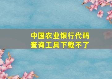 中国农业银行代码查询工具下载不了