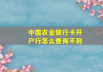 中国农业银行卡开户行怎么查询不到