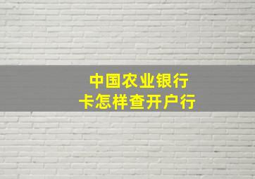 中国农业银行卡怎样查开户行