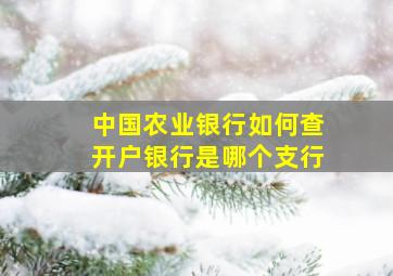 中国农业银行如何查开户银行是哪个支行