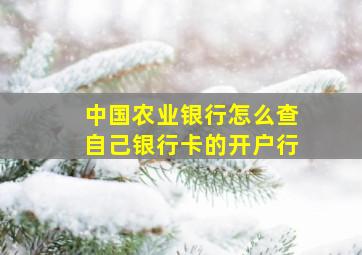 中国农业银行怎么查自己银行卡的开户行