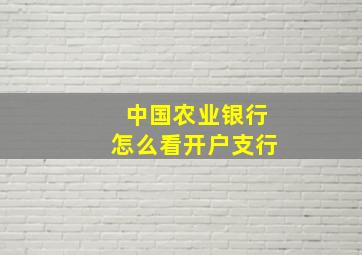 中国农业银行怎么看开户支行