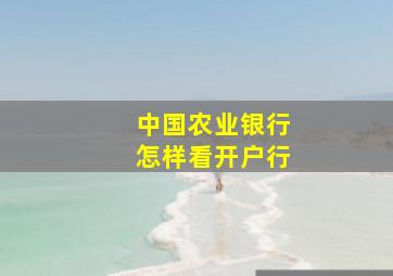 中国农业银行怎样看开户行