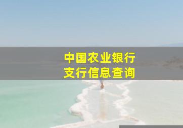 中国农业银行支行信息查询