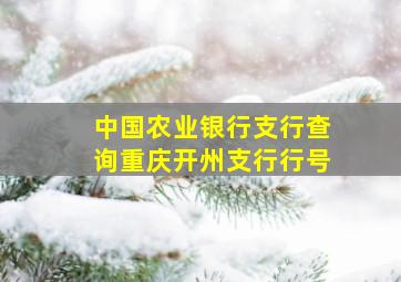 中国农业银行支行查询重庆开州支行行号