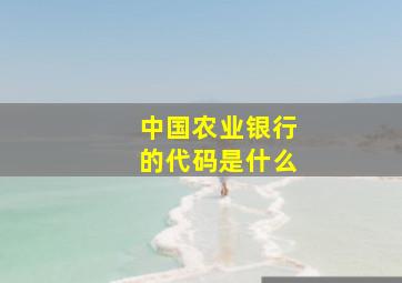 中国农业银行的代码是什么