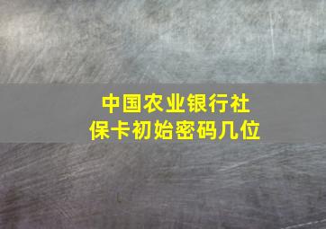 中国农业银行社保卡初始密码几位