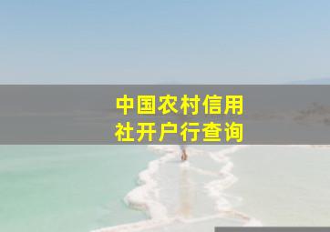 中国农村信用社开户行查询