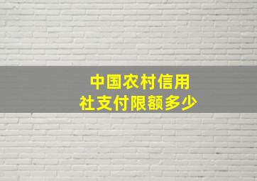 中国农村信用社支付限额多少