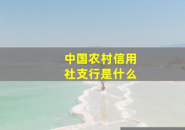 中国农村信用社支行是什么