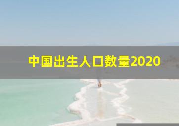 中国出生人口数量2020