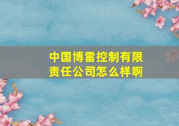 中国博雷控制有限责任公司怎么样啊