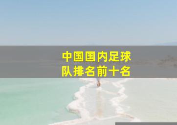 中国国内足球队排名前十名