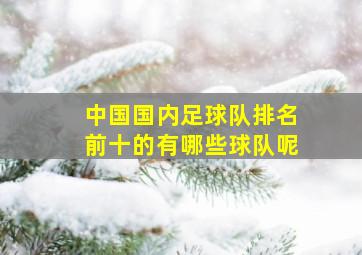 中国国内足球队排名前十的有哪些球队呢