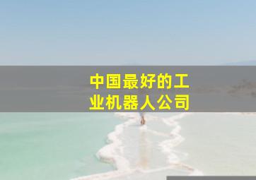 中国最好的工业机器人公司