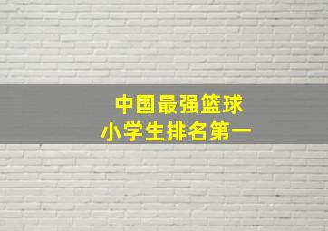 中国最强篮球小学生排名第一