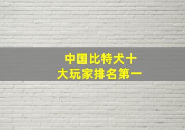 中国比特犬十大玩家排名第一