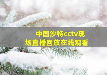 中国沙特cctv现场直播回放在线观看