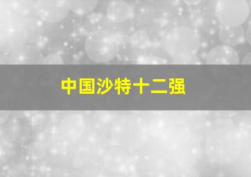 中国沙特十二强