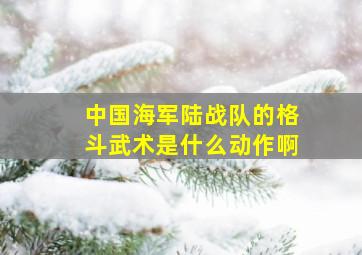 中国海军陆战队的格斗武术是什么动作啊