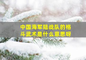 中国海军陆战队的格斗武术是什么意思呀